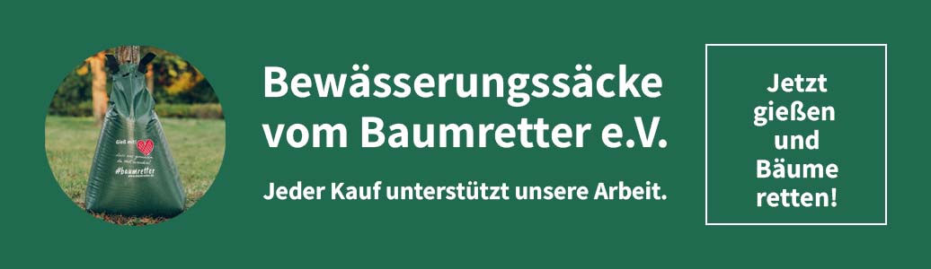 Bildbeschreibung