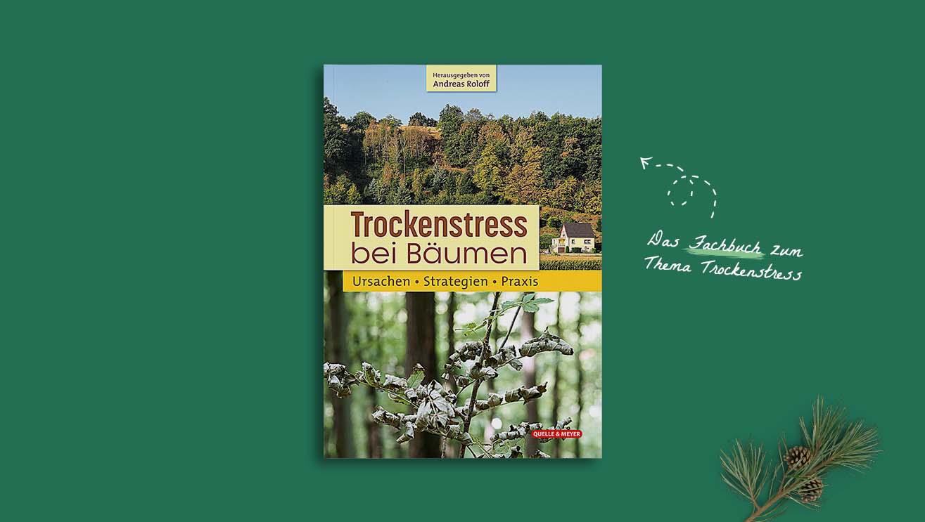 Trockenstress bei Bäumen (Buchcover)